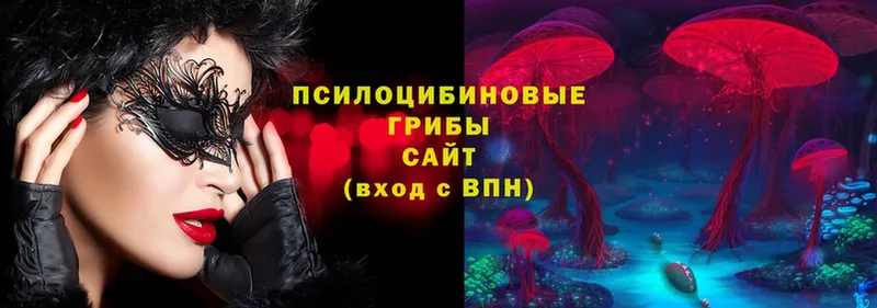 Галлюциногенные грибы Cubensis  закладки  Ряжск 